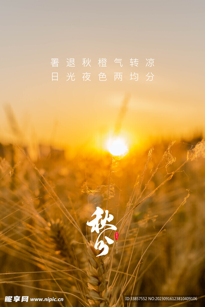 秋分海报           