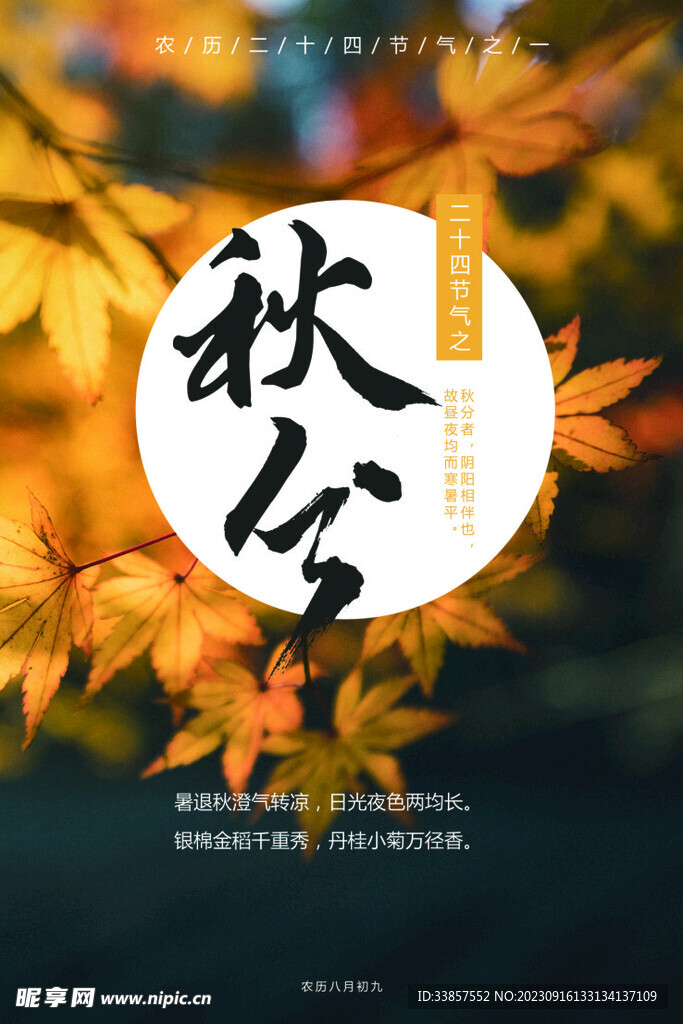 秋分海报           