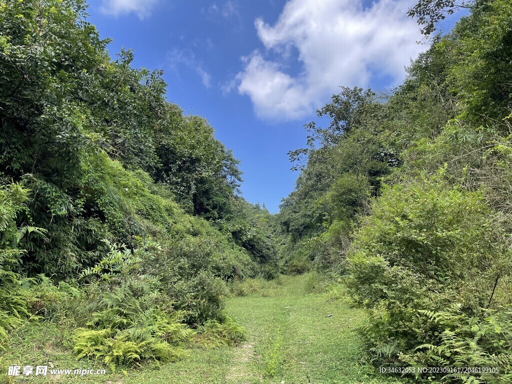 天空 小草坪 绿植