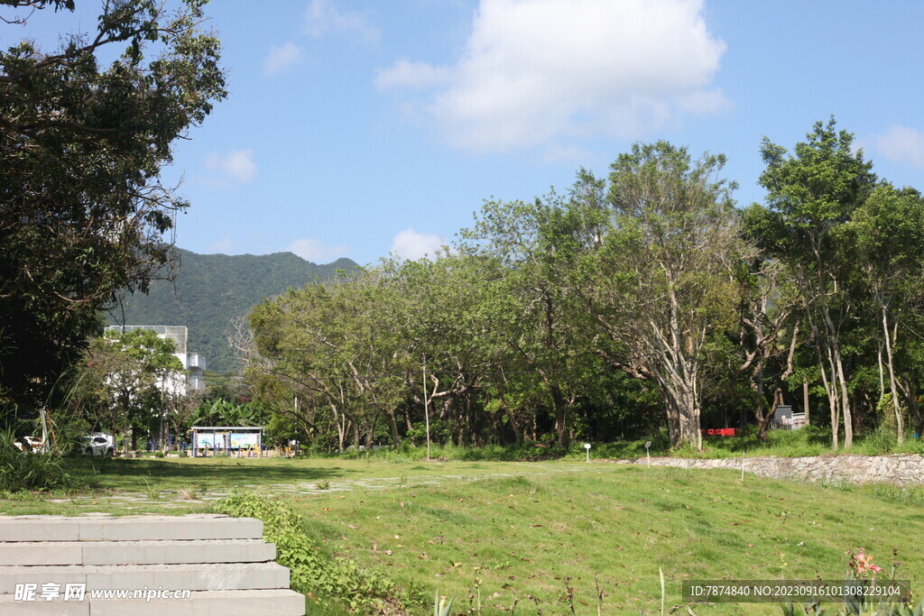 坪山湿地公园