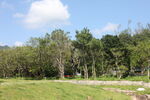 坪山湿地公园