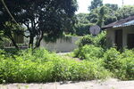 坪山湿地公园
