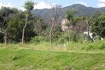 坪山湿地公园