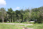 坪山湿地公园