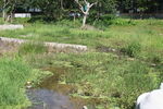 坪山湿地公园