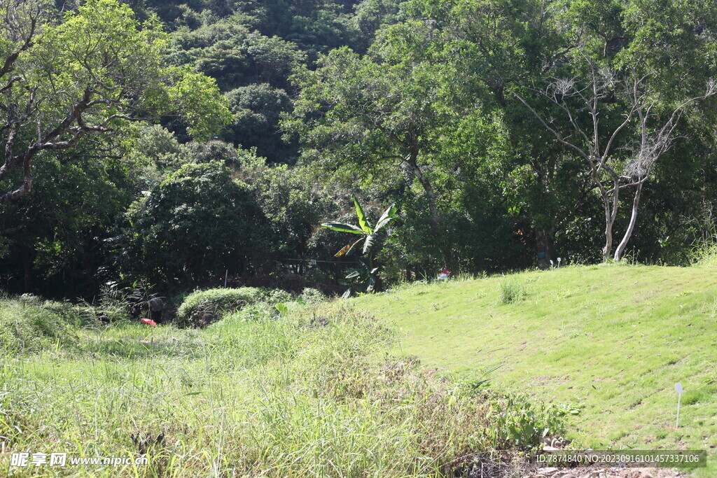 坪山湿地公园