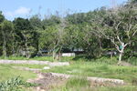 坪山湿地公园