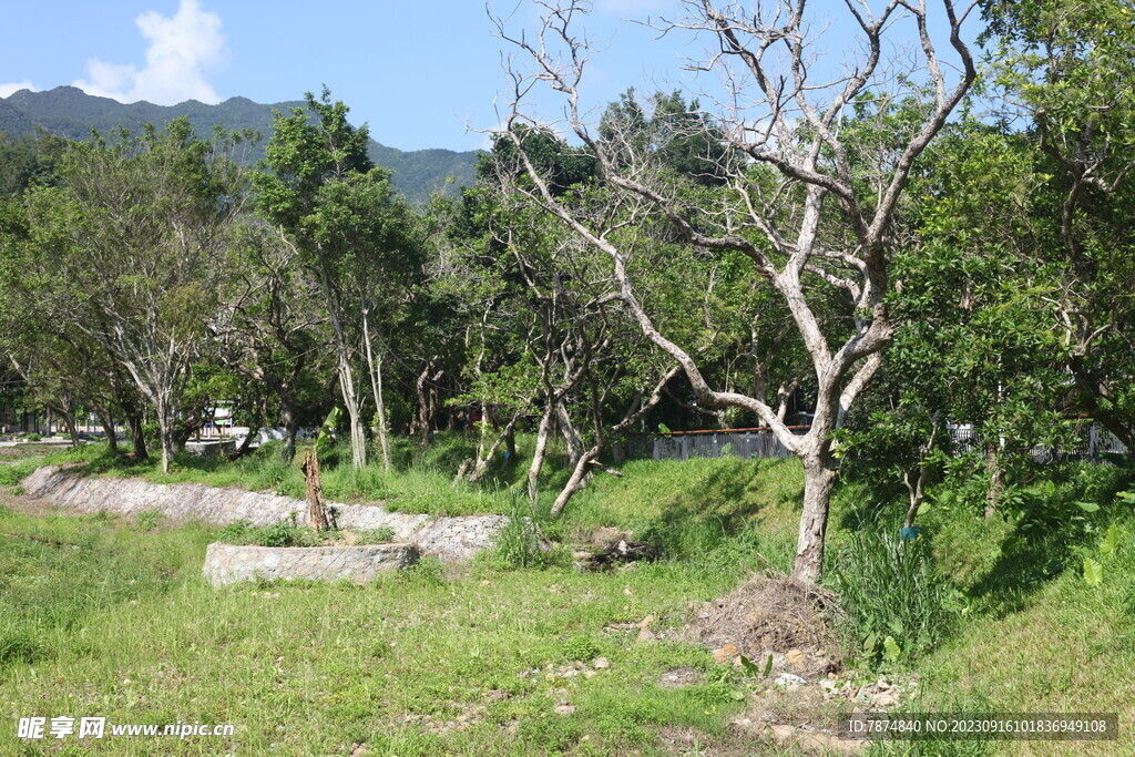 坪山湿地公园