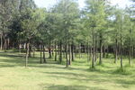 坪山湿地公园
