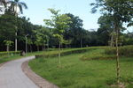 坪山湿地公园