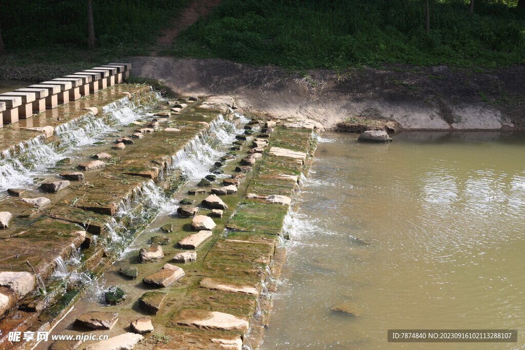 坪山湿地公园