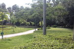 坪山湿地公园