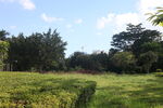 坪山湿地公园