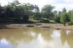 坪山湿地公园
