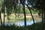 坪山湿地公园