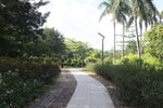 坪山湿地公园