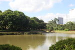 坪山湿地公园
