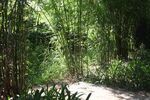 坪山湿地公园