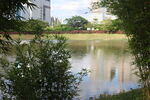 坪山湿地公园