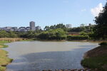 坪山湿地公园