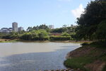 坪山湿地公园