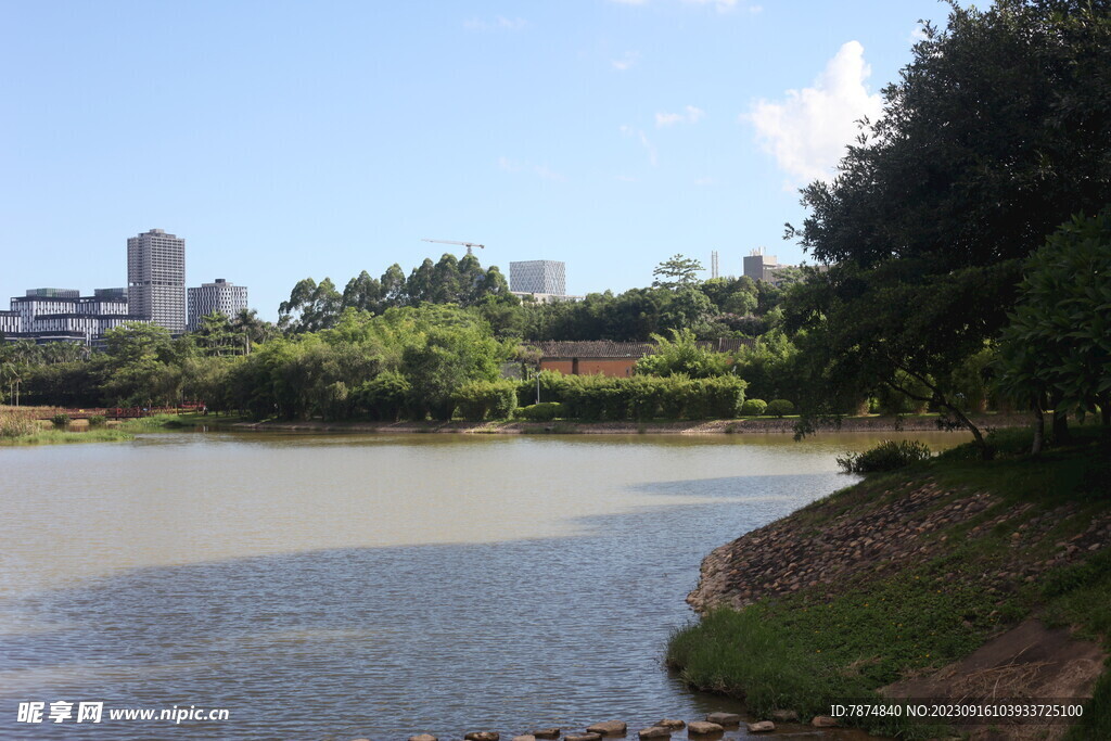 坪山湿地公园