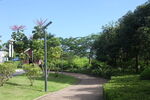 坪山湿地公园
