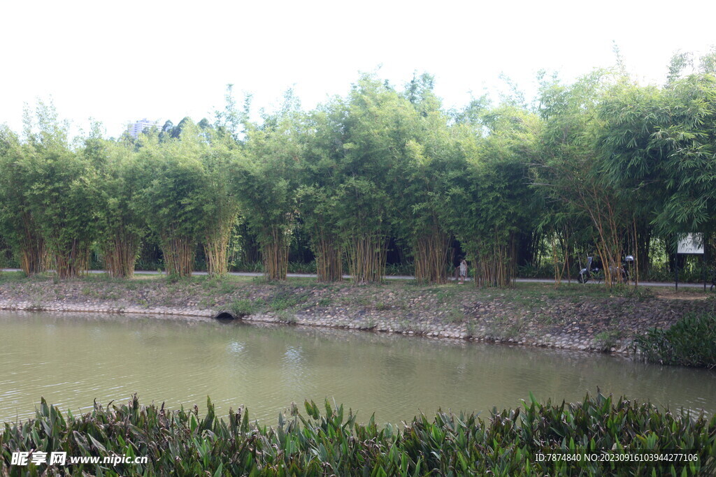 坪山湿地公园