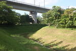 坪山湿地公园