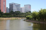 坪山湿地公园
