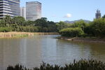 坪山湿地公园