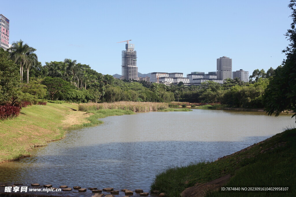 坪山湿地公园