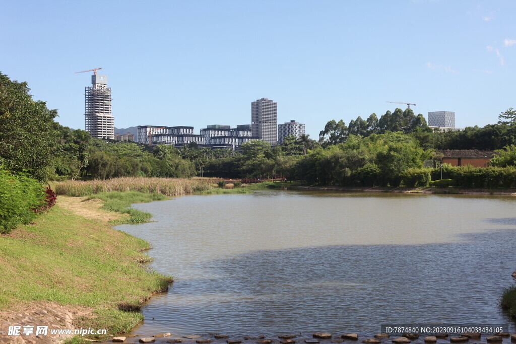 坪山湿地公园