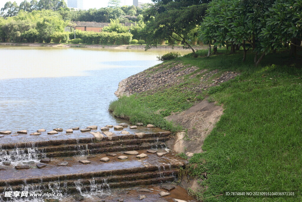 坪山湿地公园