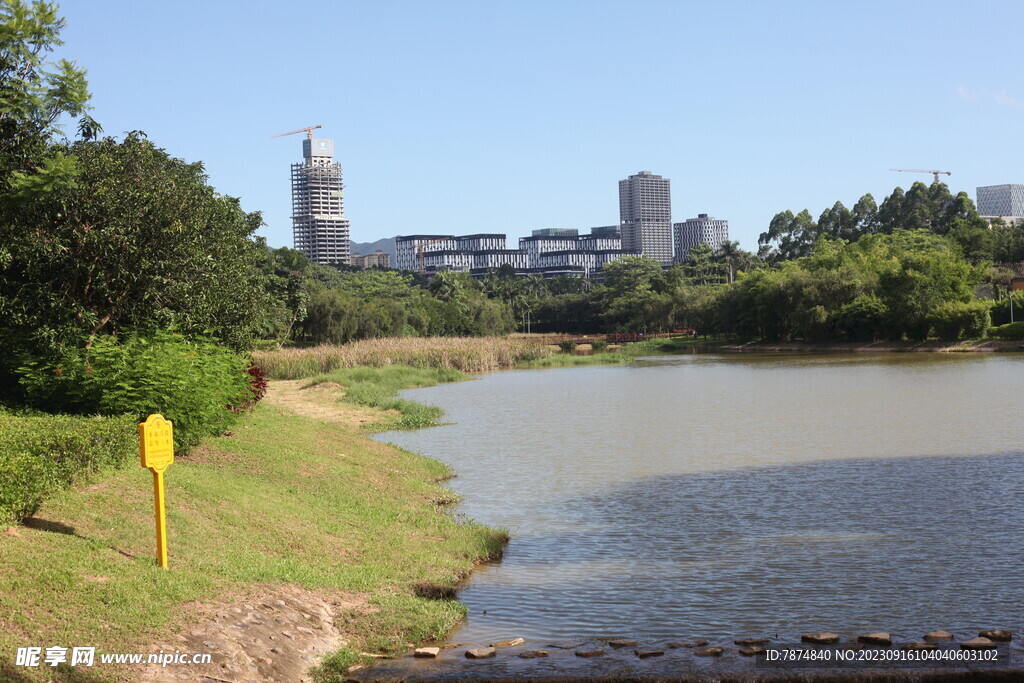 坪山湿地公园