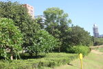 坪山湿地公园