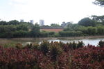 坪山湿地公园
