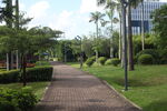 坪山湿地公园