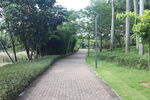 坪山湿地公园