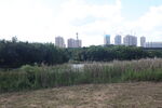 坪山湿地公园