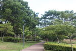坪山湿地公园