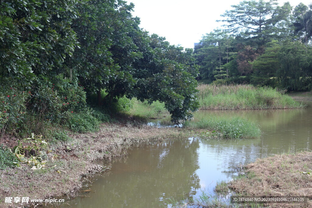 坪山湿地公园