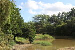 坪山湿地公园