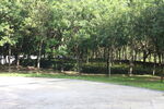 坪山湿地公园