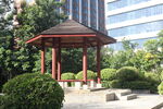 坪山湿地公园