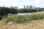 深圳坝光