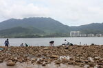 深圳坝光