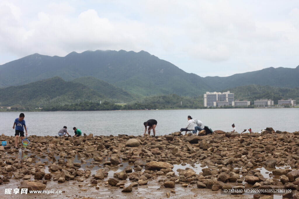 深圳坝光