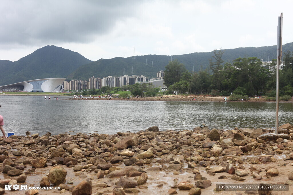 深圳坝光