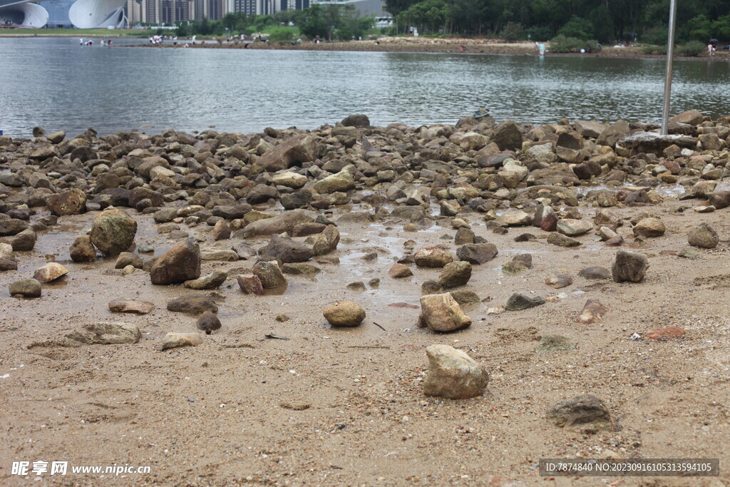 深圳坝光